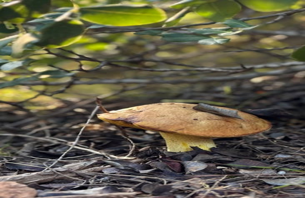 Kleine gewoontes met grote impact: start je dag positief