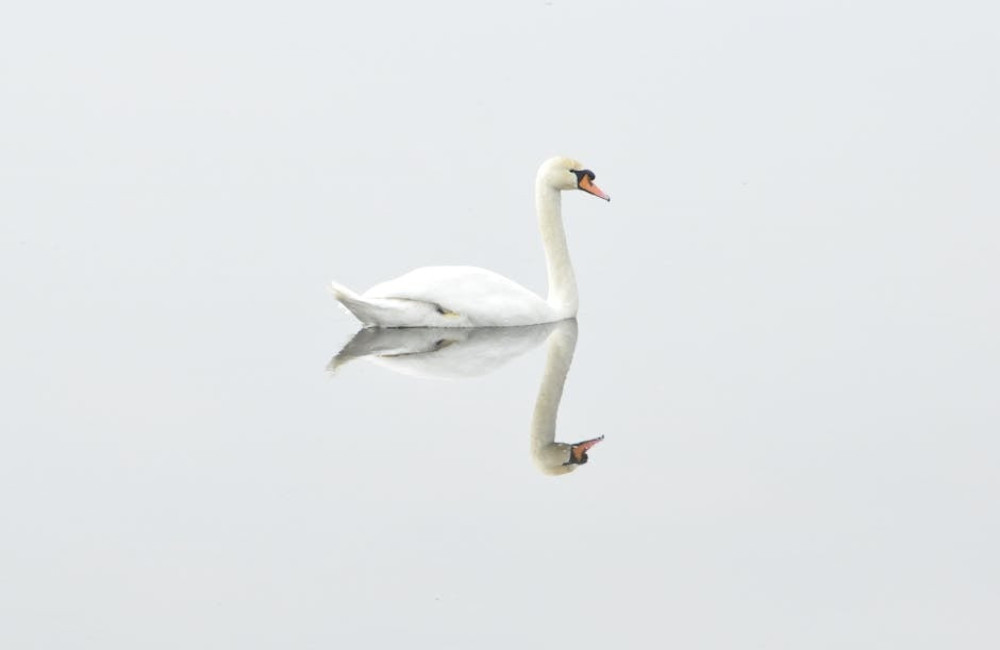 Wat is de betekenis van contemplatie en hoe pas je het toe in je dagelijks leven?